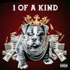 1 Of a Kind (feat. Big Pokey) - Single by Bohog album reviews, ratings, credits