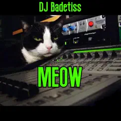 Meow - Single by DJ BadeTiss album reviews, ratings, credits