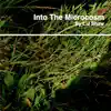 Into the Microcosm album lyrics, reviews, download