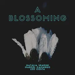 A Blossoming - Single by Natália Spadini, Marcel camargo & Léo Costa album reviews, ratings, credits