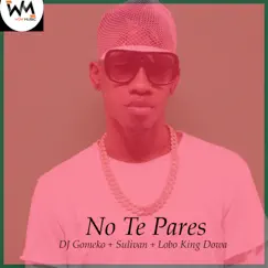 No Te Pares - Single by Dj GoMeko, Sulivan & Lobo King Dowa album reviews, ratings, credits
