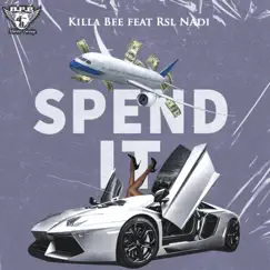 Spend It (feat. Rsl Nadi & Kemistress) - Single by Killa Bee album reviews, ratings, credits
