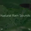!!!" Natural Rain Sounds "!!! album lyrics, reviews, download