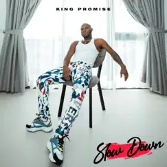 Slow Down - Single by King Promise album reviews, ratings, credits