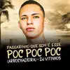 Passarinho Que Som é Esse / Poc Poc Poc (Arrochadeira) [feat. MC Mr Bim] - Single album lyrics, reviews, download