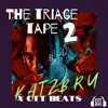 Triage Tape II - Single album lyrics, reviews, download