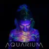 Aquarium - Single album lyrics, reviews, download
