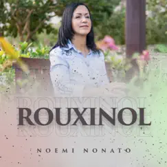Rouxinol - Single by Noemi Nonato album reviews, ratings, credits