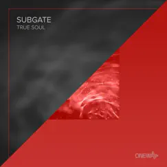 True Soul - Single by Subgate album reviews, ratings, credits