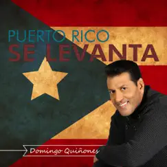 Puerto Rico Se Levanta - Single by Domingo Quiñones album reviews, ratings, credits