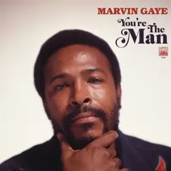 You're the Man by Marvin Gaye album reviews, ratings, credits