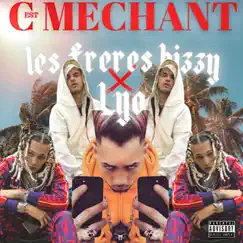 C’est mechant (feat. LES FRERES BIZZY) Song Lyrics