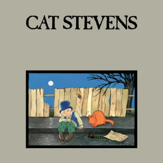 Download How Can I Tell You Cat Stevens MP3