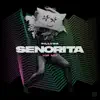 Senorita (VIP Mix) - Single album lyrics, reviews, download