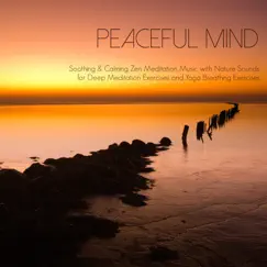 Peaceful Mind - Soothing & Calming Zen Meditation Music with Nature Sounds for Deep Meditation Exercises and Yoga Breathing Exercises by Peaceful Music Orchestra album reviews, ratings, credits