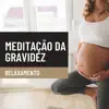 Meditação da Gravidez: Relaxamento, Reduzir o Estresse e a Ansiedade album lyrics, reviews, download