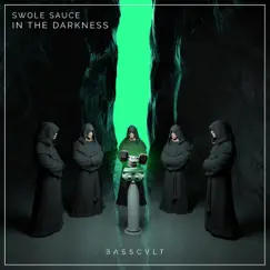 In the Darkness - Single by Swole Sauce album reviews, ratings, credits