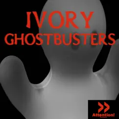 Ghostbusters (Steve N King Remix Radio Cut) Song Lyrics
