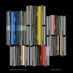 Find Me Finding You by Laetitia Sadier Source Ensemble album reviews, ratings, credits