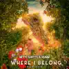 Where I Belong (Remixes) [feat. RUNN] - EP album lyrics, reviews, download
