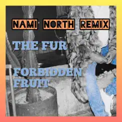 Forbidden Fruit (Nami North Remix) [Nami North Remix] - Single by The Fur album reviews, ratings, credits