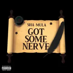 Got Some Nerve - Single by Sha Mula album reviews, ratings, credits