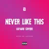 Never Like This - Single album lyrics, reviews, download