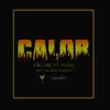Calor (feat. Pyem) - Single album lyrics, reviews, download