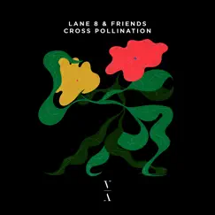 Cross Pollination by Lane 8 album reviews, ratings, credits