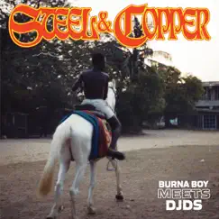 Steel & Copper - EP by Burna Boy & DJDS album reviews, ratings, credits