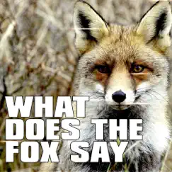 What Does the Fox Say (Karaoke) Song Lyrics