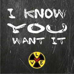 I Know You Want It Song Lyrics