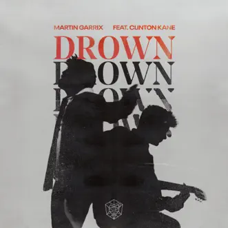 Drown (feat. Clinton Kane) - Single by Martin Garrix album download