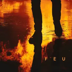 Feu by Nekfeu album reviews, ratings, credits