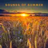 Summer Sunrise song lyrics
