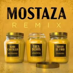 Mostaza (Remix) Song Lyrics