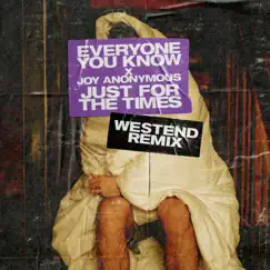 Just for the Times (Westend Remix) Song Lyrics