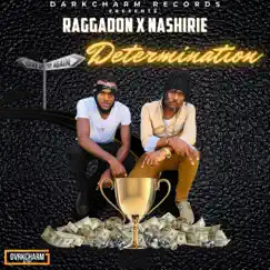 Determination (feat. Nashirie) Song Lyrics