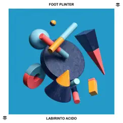 Labirinto Acido - Single by Foot Plinter album reviews, ratings, credits
