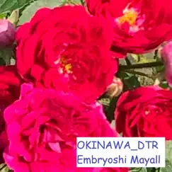 OKINAWA DTR - Single by Embryoshi Mayall album reviews, ratings, credits