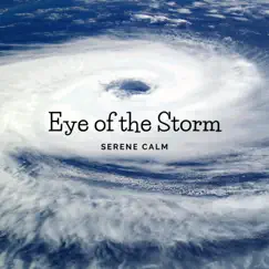 Eye of the Storm - Single by Serene Calm album reviews, ratings, credits