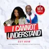 I Cannot Understand (feat. Sammie Okposo) - Single album lyrics, reviews, download
