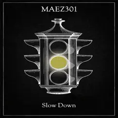 Slow Down - Single by Maez301 album reviews, ratings, credits