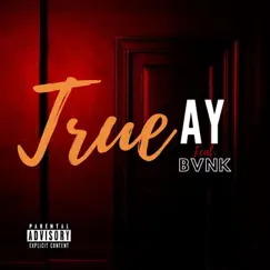 True (feat. Ay & BVNK) - Single by Hitmakers4life album reviews, ratings, credits