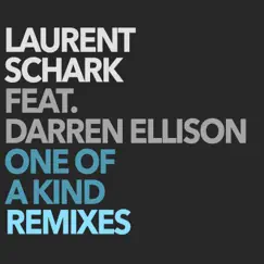 One of a Kind (Andrew Consoli Remix) [feat. Darren Ellison] Song Lyrics