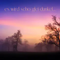 Es wird schon gleich dunkel (It will soon be dark) - Single by X-mas Piano Chiller album reviews, ratings, credits
