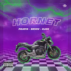 Hornet (feat. BRVGV & Click) - Single by Pejota album reviews, ratings, credits