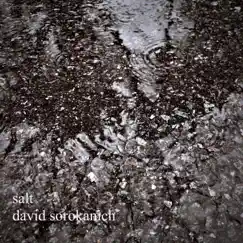 Salt (Acoustic Demo) - Single by David Sorokanich album reviews, ratings, credits