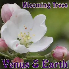 Blooming Trees by Venus & Earth album reviews, ratings, credits