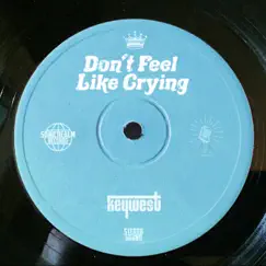 Don’t Feel Like Crying (Acoustic) Song Lyrics